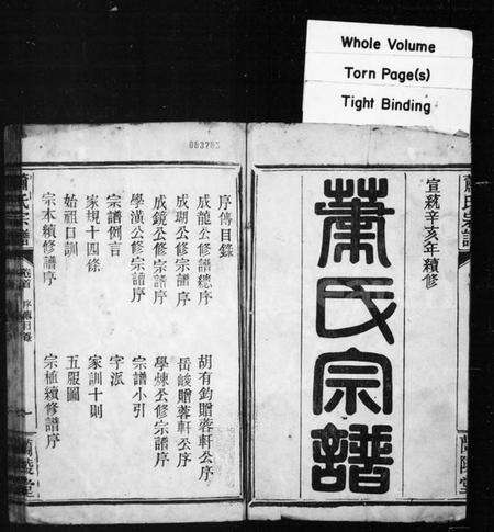 湖北萧氏族谱-萧氏宗谱 [10卷,首1卷].pdf电子版预览图1