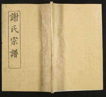 湖北谢氏族谱-谢氏宗谱.pdf电子版缩略图