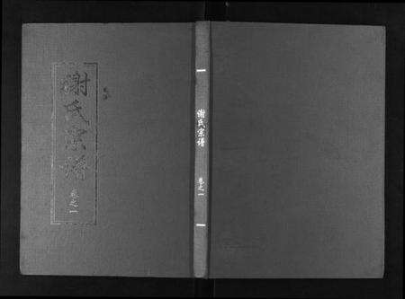 湖北谢氏族谱-谢氏宗谱.pdf电子版缩略图