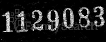 江苏邢氏族谱-江阴太宁邢氏支谱 [25卷首1卷].pdf电子版