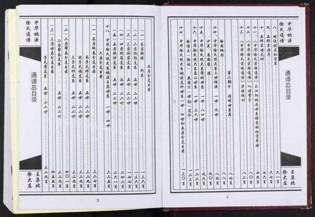 江苏徐氏族谱-中华桃源徐氏通谱[不分卷].pdf电子版预览图2