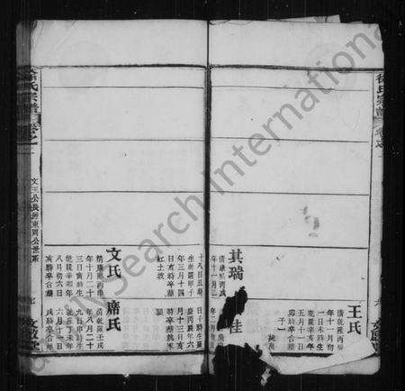 湖北徐氏族谱-徐氏宗谱.pdf电子版预览图5