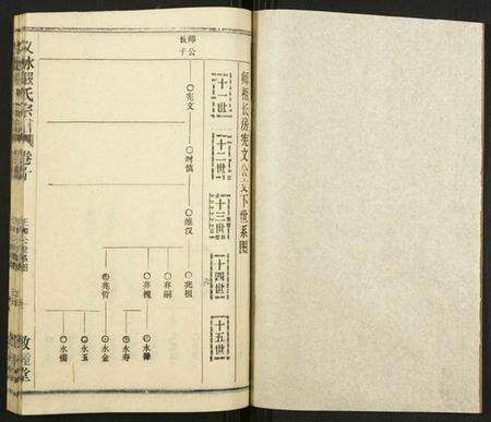 湖北严氏族谱-义水严氏宗谱.pdf电子版预览图1