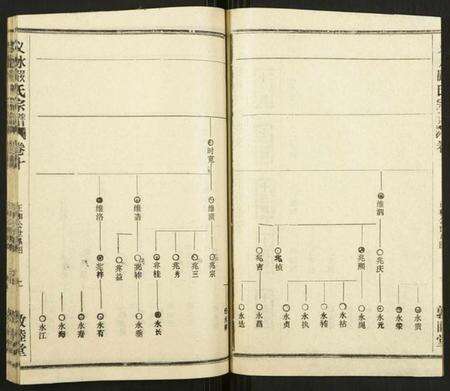 湖北严氏族谱-义水严氏宗谱.pdf电子版预览图2