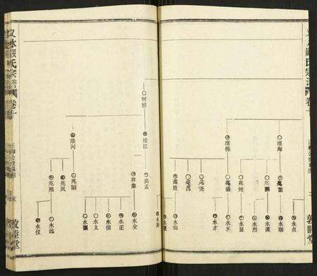 湖北严氏族谱-义水严氏宗谱.pdf电子版预览图3