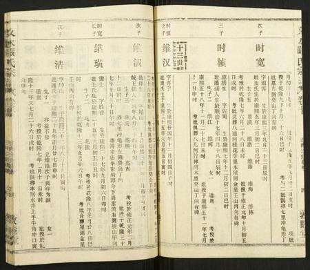 湖北严氏族谱-义水严氏宗谱.pdf电子版预览图5