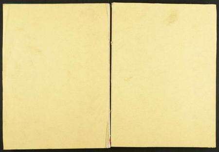 湖北严氏族谱-严氏宗谱.pdf电子版缩略图