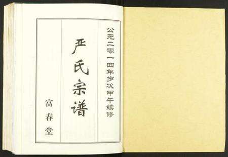 湖北严氏族谱-严氏宗谱.pdf电子版预览图1