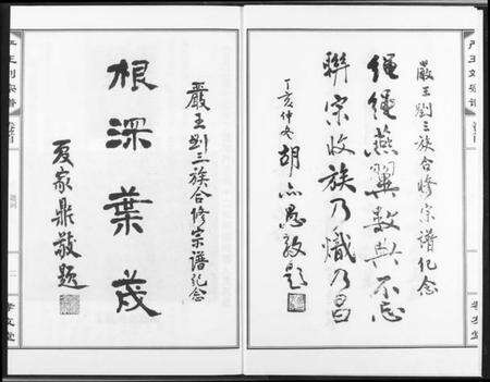 湖北严氏王氏刘氏族谱-严王刘宗谱.pdf电子版预览图3