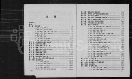 中国杨氏族谱-弘农杨氏族史.pdf电子版预览图4