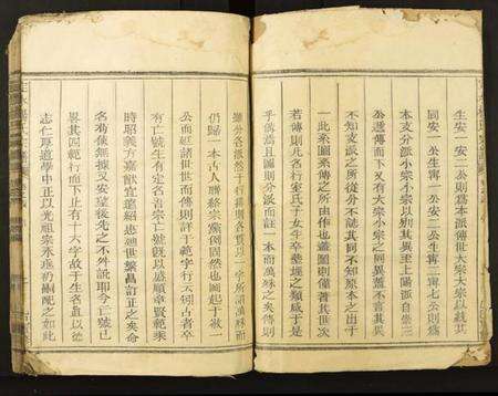 四川杨氏族谱-定水杨氏宗谱.pdf电子版预览图2