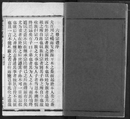 湖北杨氏族谱-杨氏宗谱.pdf电子版预览图2