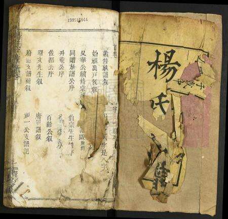 湖北杨氏族谱-杨氏宗谱.pdf电子版预览图1