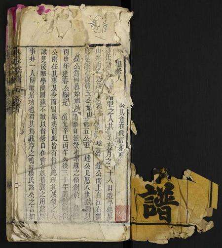 湖北杨氏族谱-杨氏宗谱.pdf电子版预览图1