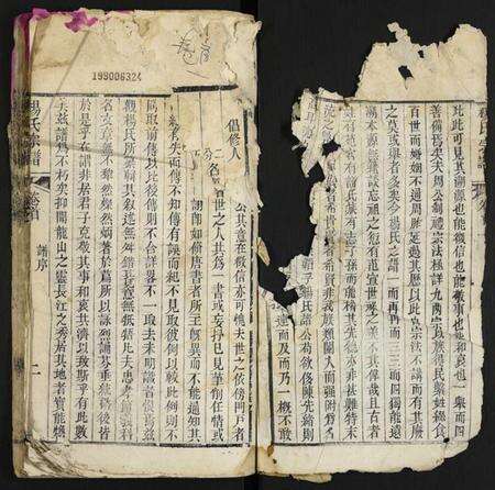 湖北杨氏族谱-杨氏宗谱.pdf电子版预览图2