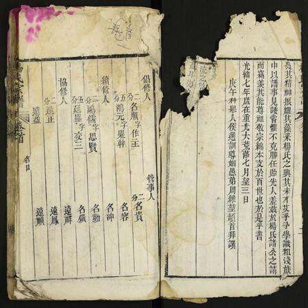 湖北杨氏族谱-杨氏宗谱.pdf电子版预览图3