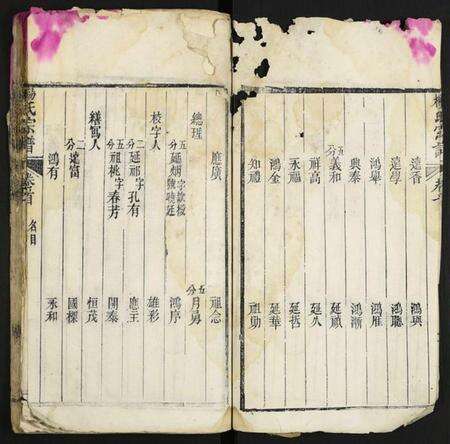 湖北杨氏族谱-杨氏宗谱.pdf电子版预览图4