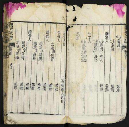 湖北杨氏族谱-杨氏宗谱.pdf电子版预览图5