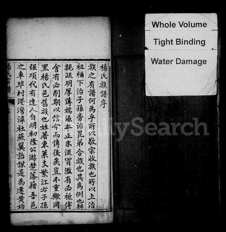 湖北杨氏族谱-杨氏宗谱 [6卷,首2卷].pdf电子版预览图3