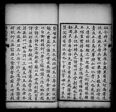 湖北杨氏族谱-杨氏宗谱 [6卷,首2卷].pdf电子版预览图4