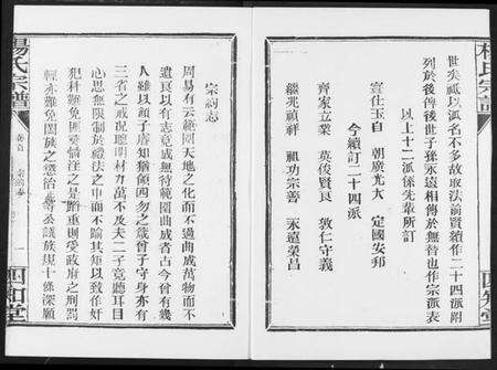湖北杨氏族谱-杨氏宗谱(影印本1943年谱).pdf电子版预览图2