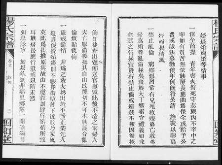 湖北杨氏族谱-杨氏宗谱(影印本1943年谱).pdf电子版预览图4