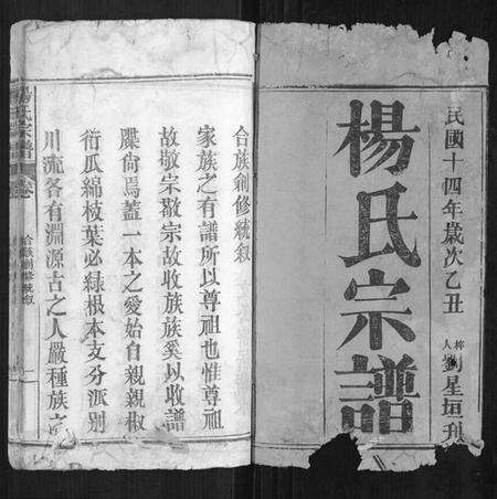 湖北杨氏族谱-杨氏宗谱[不分卷].pdf电子版预览图1