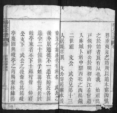 湖北杨氏族谱-杨氏宗谱[不分卷].pdf电子版预览图2