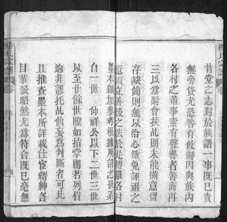 湖北杨氏族谱-杨氏宗谱[不分卷].pdf电子版预览图5