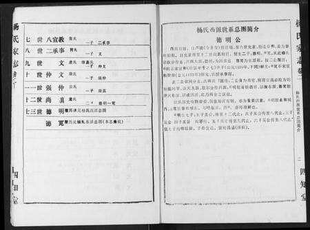 湖北杨氏族谱-杨氏家志.pdf电子版预览图5