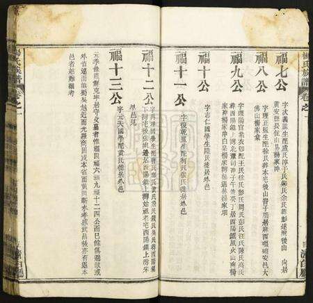 湖北杨氏族谱-杨氏族谱.pdf电子版预览图5