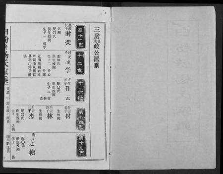 湖北杨氏族谱-白粉壁杨氏宗谱.pdf电子版预览图1