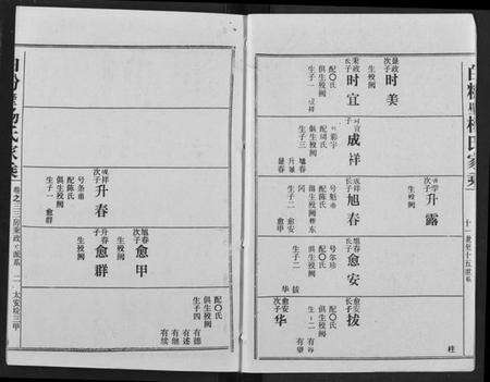 湖北杨氏族谱-白粉壁杨氏宗谱.pdf电子版预览图2