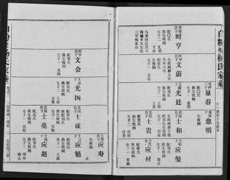 湖北杨氏族谱-白粉壁杨氏宗谱.pdf电子版预览图3