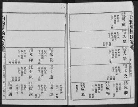 湖北杨氏族谱-白粉壁杨氏宗谱.pdf电子版预览图4