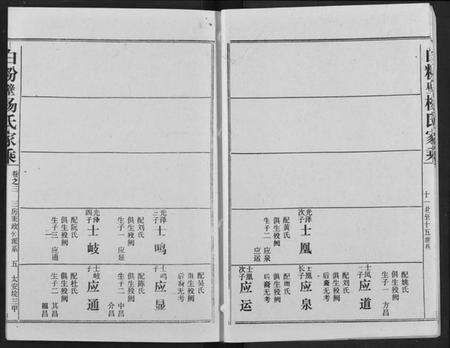 湖北杨氏族谱-白粉壁杨氏宗谱.pdf电子版预览图5