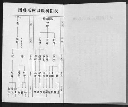 湖北杨氏族谱-杨氏宗谱 [甲编4卷,乙编12卷,系图2卷].pdf电子版预览图2
