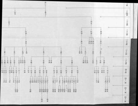 湖北杨氏族谱-杨氏宗谱 [甲编4卷,乙编12卷,系图2卷].pdf电子版预览图4