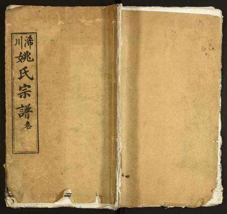 湖北姚氏族谱-姚氏宗谱.pdf电子版缩略图