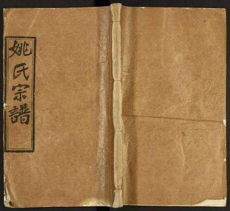 湖北姚氏族谱-姚氏宗谱.pdf电子版缩略图