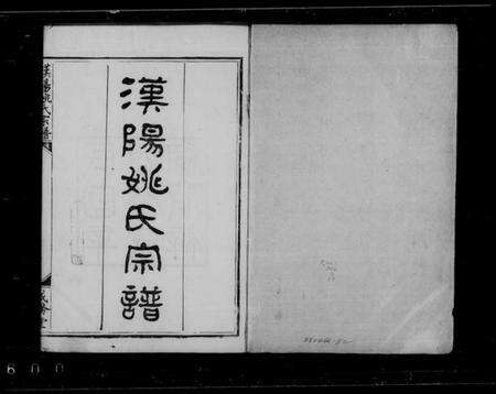 湖北姚氏族谱-汉阳姚氏宗谱 [16卷].pdf电子版缩略图