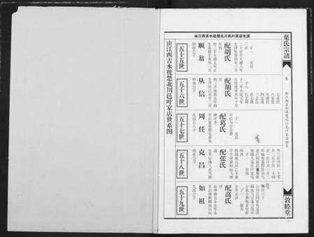 湖北叶氏族谱-南阳叶氏宗谱.pdf电子版预览图1