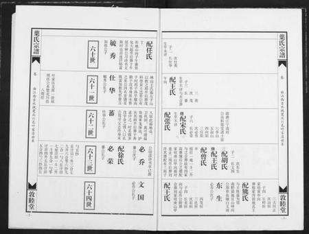 湖北叶氏族谱-南阳叶氏宗谱.pdf电子版预览图2