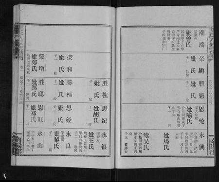 湖北叶氏族谱-叶氏八修宗谱.pdf电子版预览图2