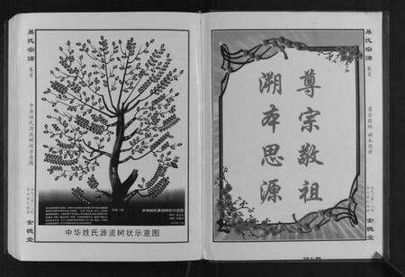 湖北易氏族谱-易氏宗谱[8部].pdf电子版预览图2