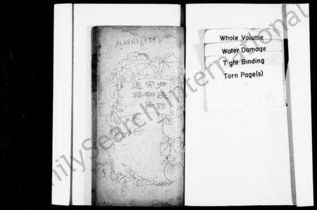 四川尹氏族谱-尹氏联宗初修通谱.pdf电子版预览图1