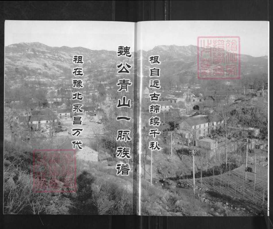 河南省新乡市卫辉市魏氏族谱-河南省卫辉太行‧魏氏族谱记.pdf电子版预览图2