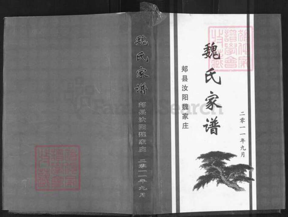 河南省平顶山郏县堂街镇魏氏族谱-魏氏家谱.pdf电子版缩略图