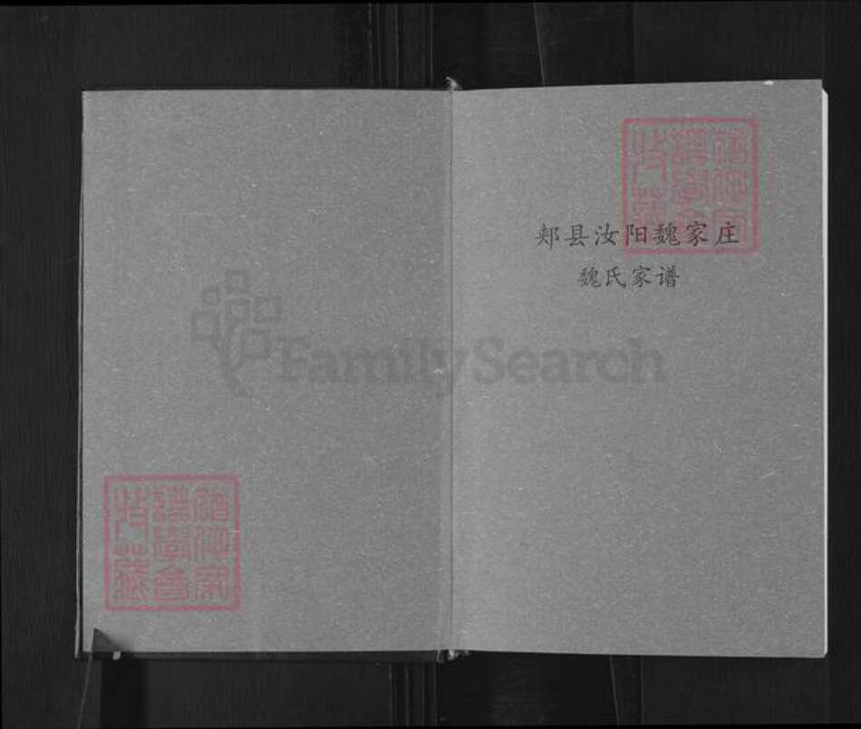 河南省平顶山郏县堂街镇魏氏族谱-魏氏家谱.pdf电子版预览图1