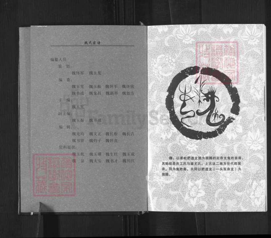 河南省平顶山郏县堂街镇魏氏族谱-魏氏家谱.pdf电子版预览图2